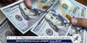 سعر الدولار اليوم الأربعاء 1 يناير 2025: استقرار أمام الجنيه المصري رغم تزايد التوقعات - اخبار السعودية