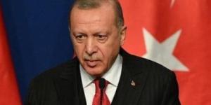 أردوغان: لا نرضى بتفكك سوريا وتدمير وحدتها