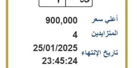 وصل سعرها إلى 900 ألف جنيه.. لوحة معدنية مميزة يتنافس عليها 4 أشخاص