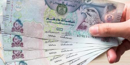 سعر الدرهم الإ ماراتي مقابل الجنيه المصري اليوم السبت 1 مارس 2025