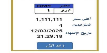 سعرها تخطى المليون جنيه.. التزايد يشتعل على لوحة سيارة مميزة «اعرف الخطوات»