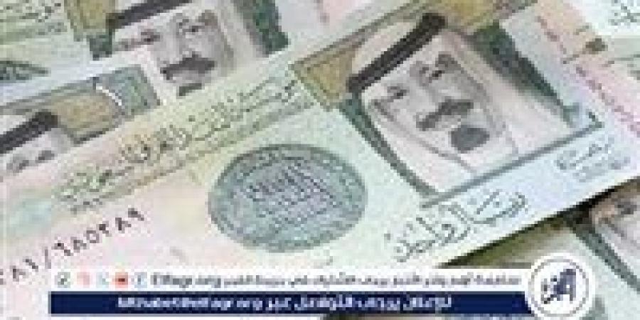 استقرار سعر الريال السعودي في البنوك المصرية اليوم الإثنين 13 يناير 2025 - عرب 365