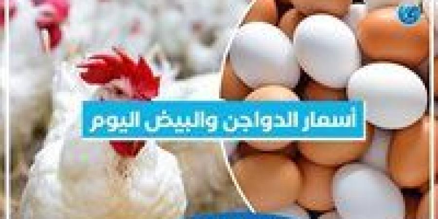 اسعار الدواجن اليوم السبت 18-1-2025 في الدقهلية - عرب 365