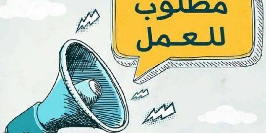 شروط وآخر موعد للتقديم في وظائف البنك المركزي المصري