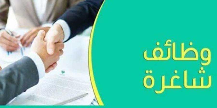 فرص عمل شاغرة عبر وزارة الشباب.. التخصصات والشروط