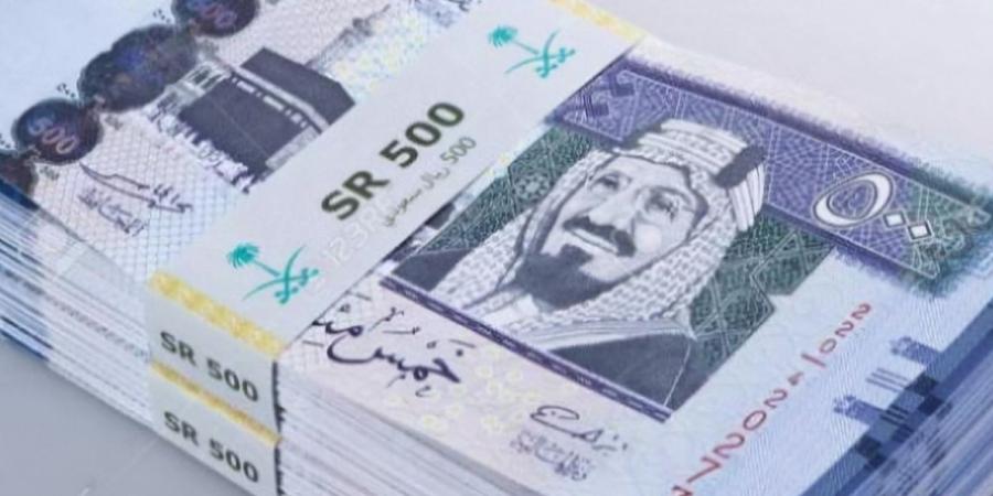 سعر الريال السعودي في مصر اليوم الأربعاء 26 فبراير 2025