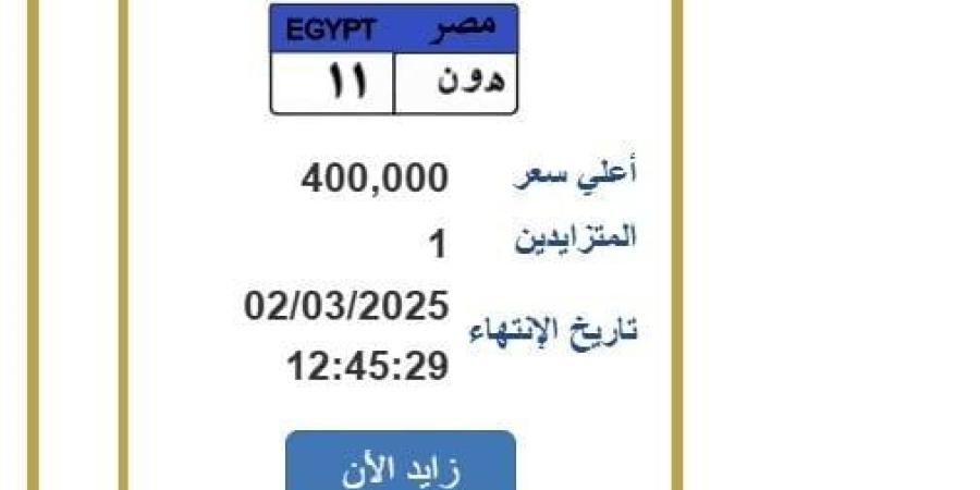 بـ 400 ألف جنيه.. لوحة سيارات مميزة تحمل حروف «ه و ن 11»