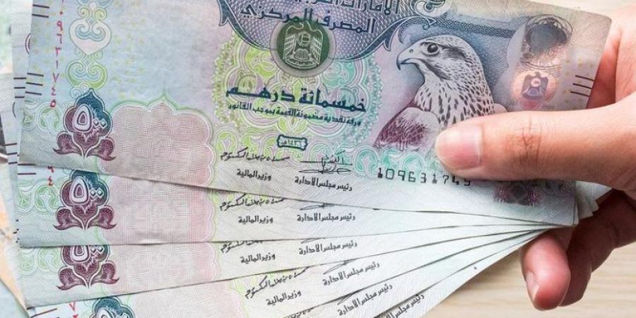 سعر الدرهم الإ ماراتي مقابل الجنيه المصري اليوم السبت 1 مارس 2025