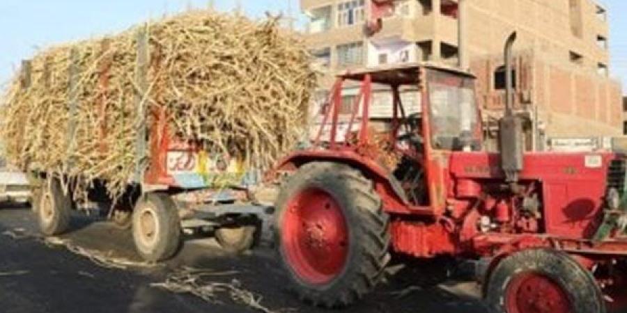 عرّض حياة المواطنين للخطر.. كشف ملابسات فيديو قيادة طفل جرار زراعي بدمياط