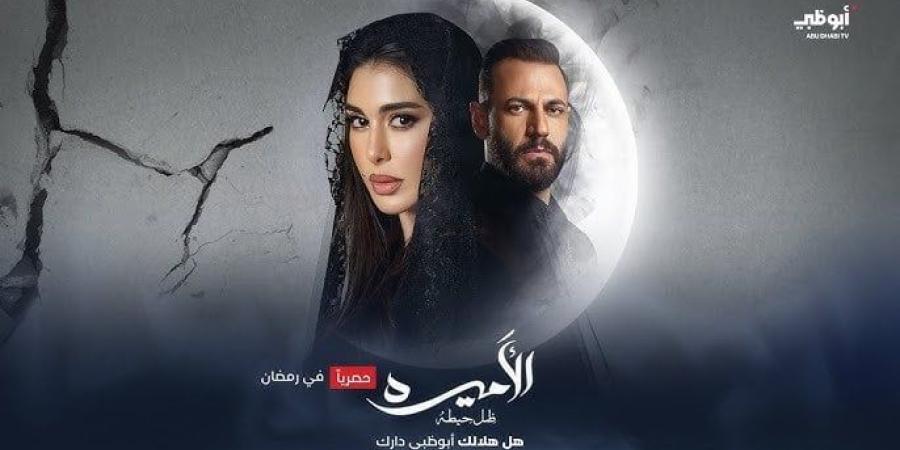 طلاق ياسمين صبري.. ملخص الحلقة التاسعة من مسلسل الأميرة ضل حيطة